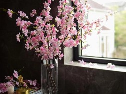 ლარნაკი