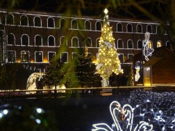 ტყიბული