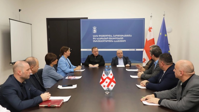 დევნილთა სააგენტო, იძულებით გადაადგილებულ 800-მდე ოჯახს სახლს შეუსყიდის