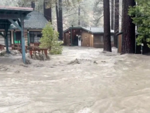 კალიფორნია