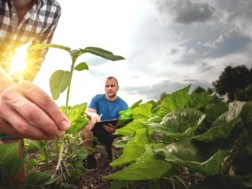 ჩრდილოეთ მაკედონიას, ევროკავშირმა თანხების გამოყოფა ქრთამის აღების საქმესთან დაკავშირებული სკანდალის გამო შეუჩერა