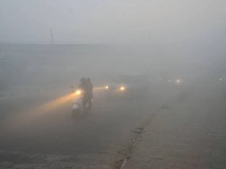 ნიუ დელი