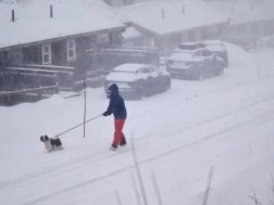 შვედეთი