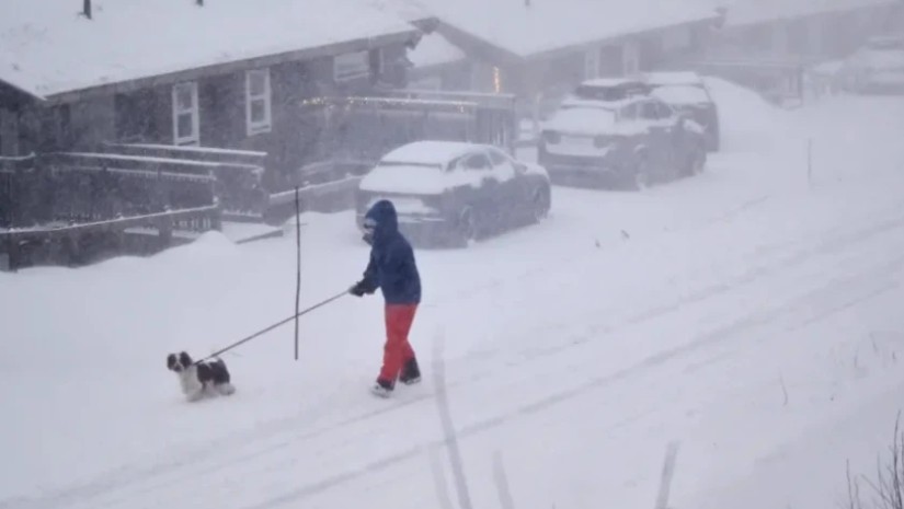 შვედეთი