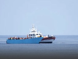 მიგრანტები