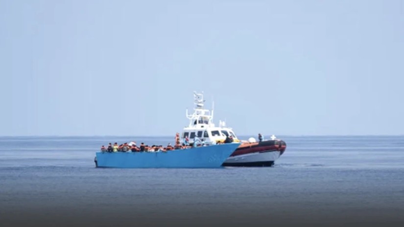 მიგრანტები