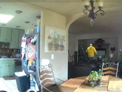 ბიჭი პოლიციას კაცის დაჭერაში დაეხმარა