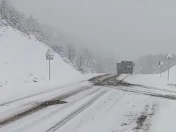 თოვა თოვა