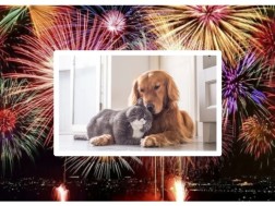 შინაური ცხოველები