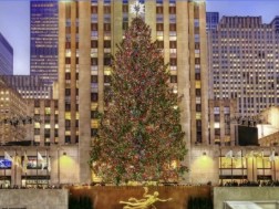 როკფელერის ნაძვის ხე