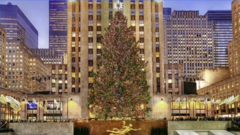 როკფელერის ნაძვის ხე