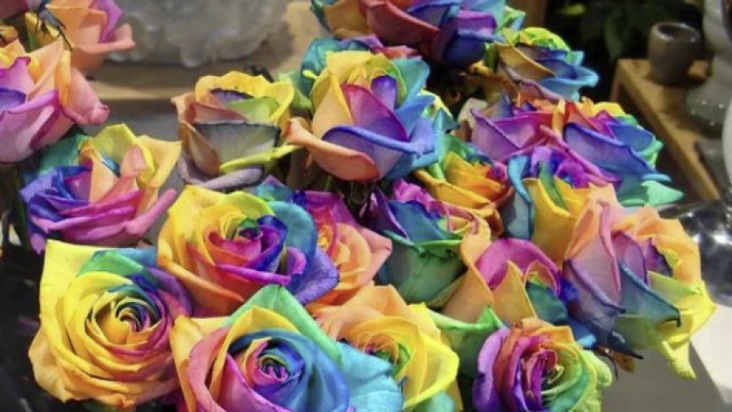 იშვიათი ყვავილები