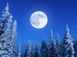 მგლის მთვარე