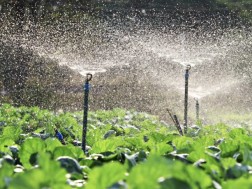 ირიგაცია