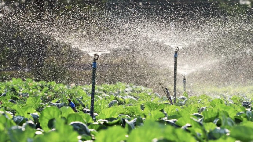 ირიგაცია