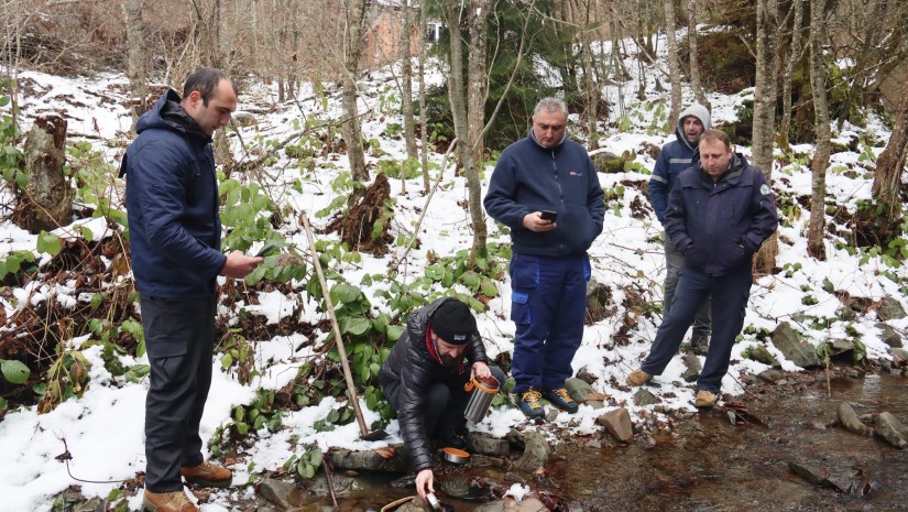 სვანეთში, მდინარე ენგურის შენაკადები ნაკადულის კალმახის ქვირითით დათევზიანდა
