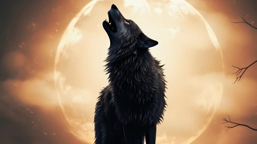 მგლის მთვარე