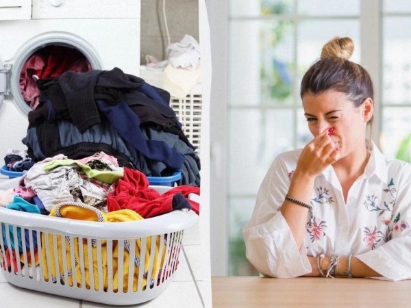 სარეცხი