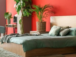 სხვადასხვა