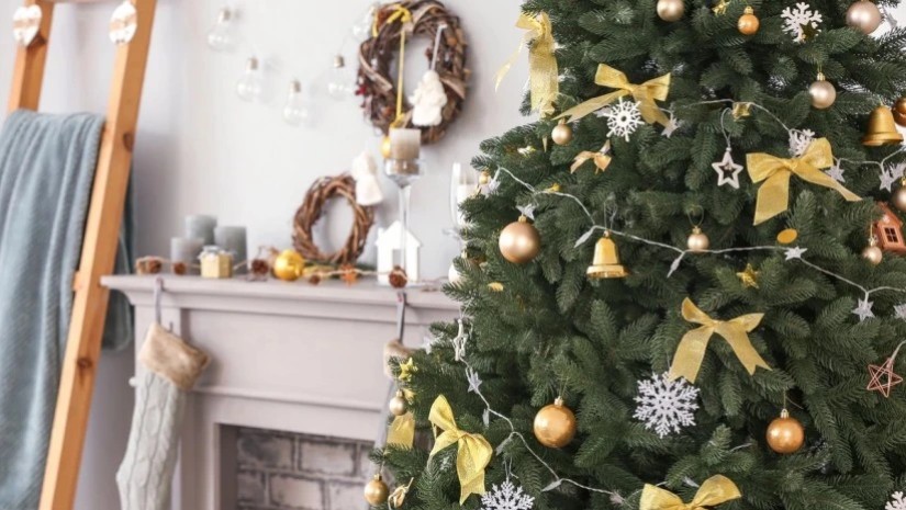 ნაძვის ხე