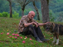 გაბრიელ მდინარაძე 
