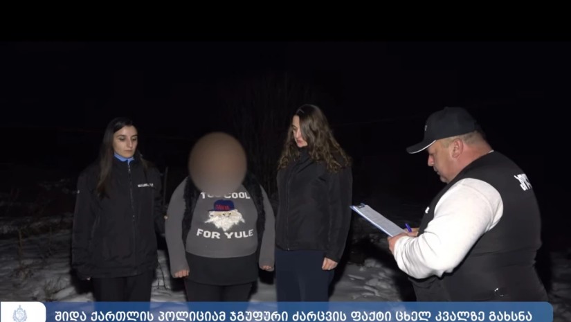 შიდა ქართლის პოლიციამ ჯგუფური ძარცვის ფაქტი ცხელ კვალზე გახსნა- დაკავებულია ორი პირი