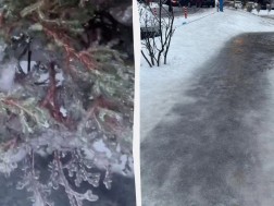 ყინვა კიევი