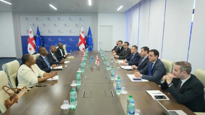 ბოტსვანას დელეგაცია