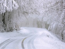 ვერონა-თელავის მონაკვეთზე ავტოტრანსპორტის მოძრაობის შეზღუდვა დაწესდა