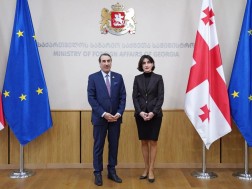 საგარეო საქმეთა მინისტრი კატარის ელჩს შეხვდა