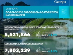 ვიზიტორი