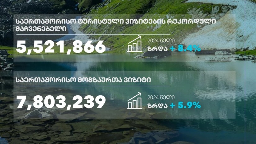 ვიზიტორი