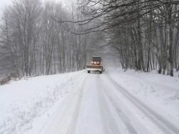 გომი ზესტაფონი