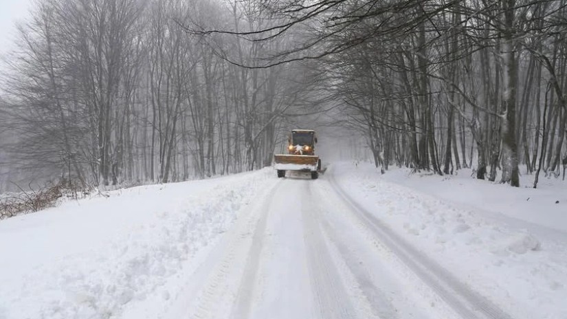 გომი ზესტაფონი