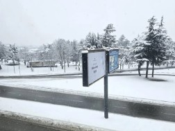 თელავი თელავი