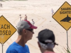 ავსტრალია