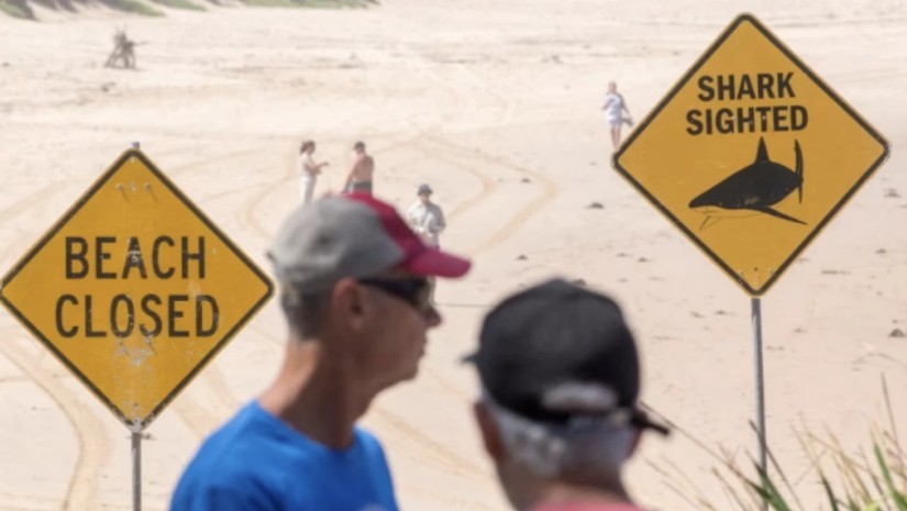 ავსტრალია