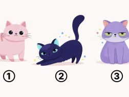 ტესტი ტესტი