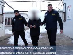 მიგრაცია