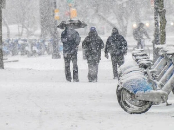  ჩრდილოეთ კაროლინა