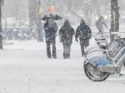  ჩრდილოეთ კაროლინა