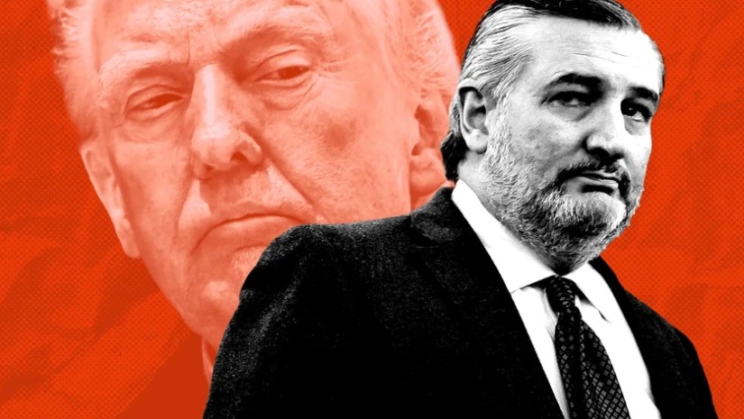 ტედ კრუზი