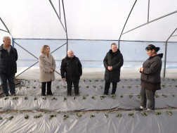 სათბირი