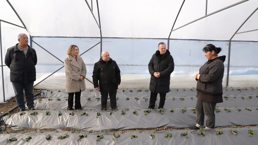 სათბირი