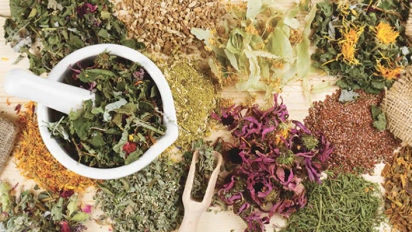 მცენარეები ხველისთვის