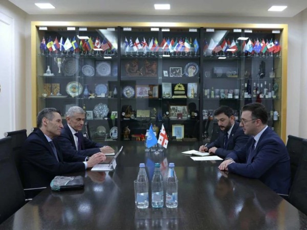 დავით სონღულაშვილი დავით სონღულაშვილი