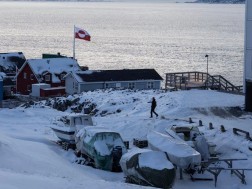 დანია დანია