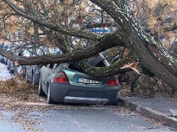 პორტუგალია პორტუგალია