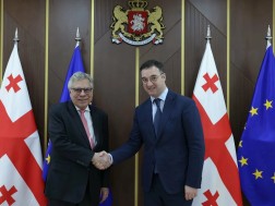 დავით სონღულაშვილი ბრაზილიის ფედერაციული რესპუბლიკის ელჩს შეხვდა