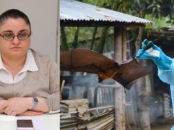 მაია ბუწაშვილი